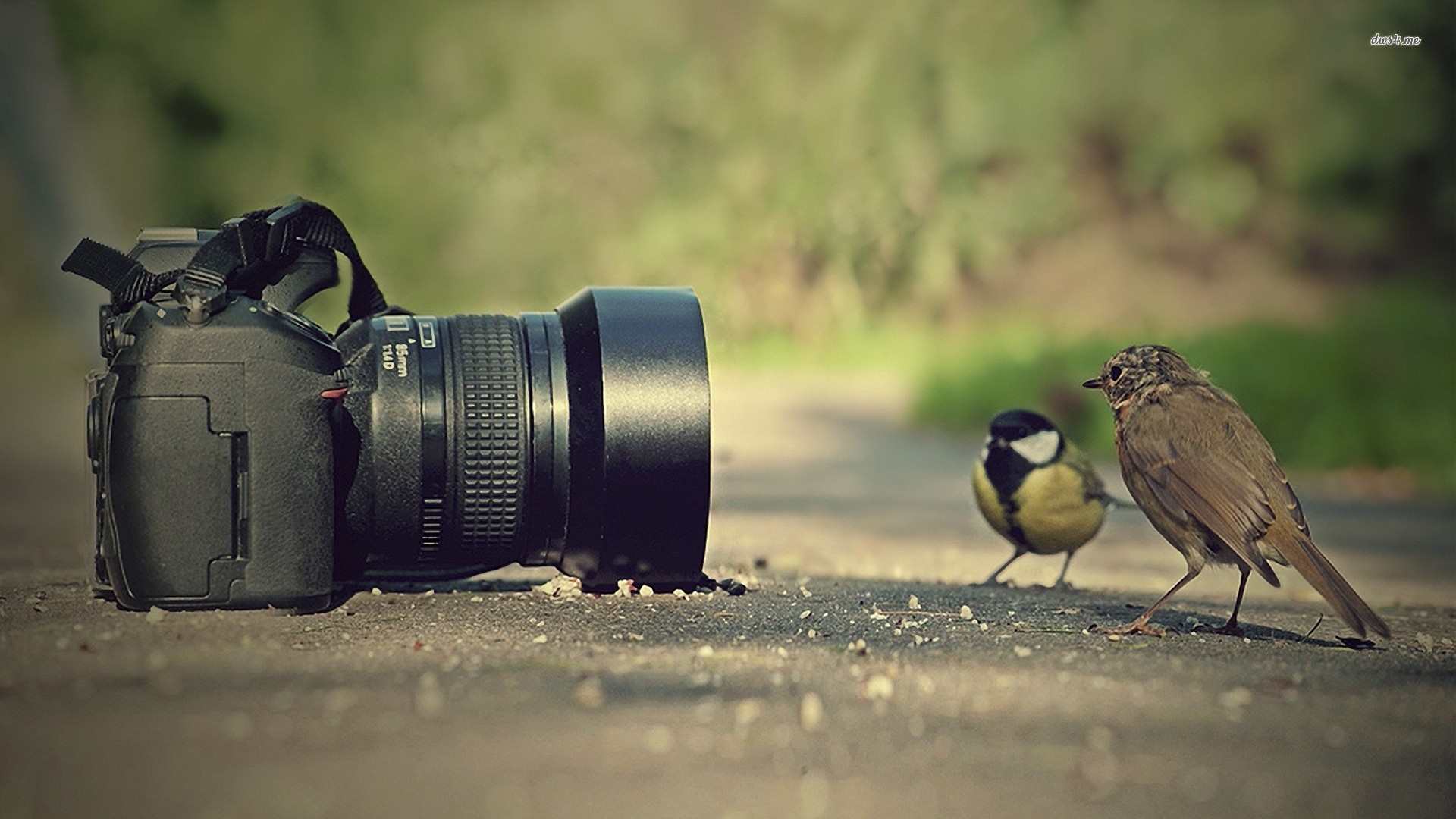photography-art.jpg